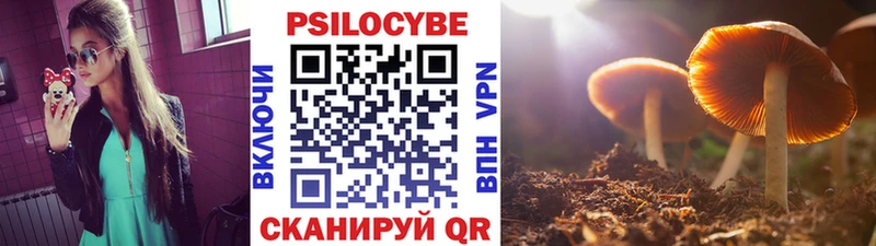 Псилоцибиновые грибы мухоморы наркотики Аксай